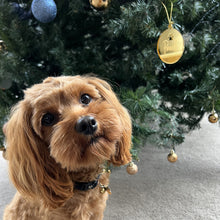 Load image into Gallery viewer, Pet Christmas baubles engraved